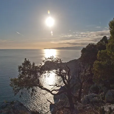 Nocleg ze śniadaniem Tra Gli Ulivi Pietra Ligure