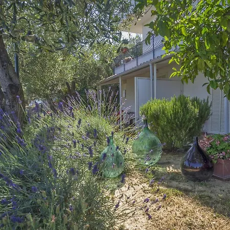 Tra Gli Ulivi Nocleg ze śniadaniem 3*