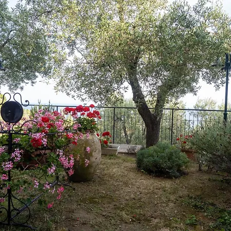 Tra Gli Ulivi Nocleg ze śniadaniem Pietra Ligure