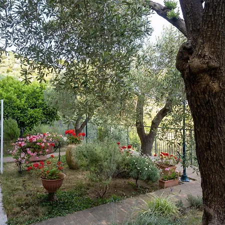 Tra Gli Ulivi Nocleg ze śniadaniem Pietra Ligure