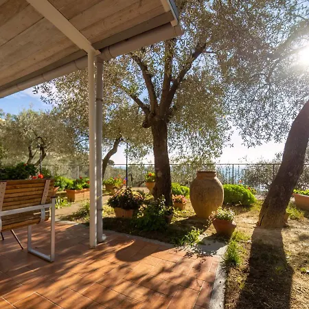Tra Gli Ulivi Bed & Breakfast
