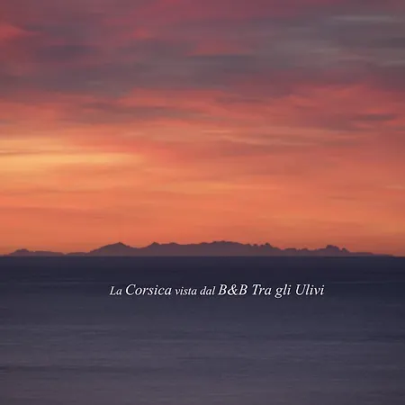 Tra Gli Ulivi * Pietra Ligure