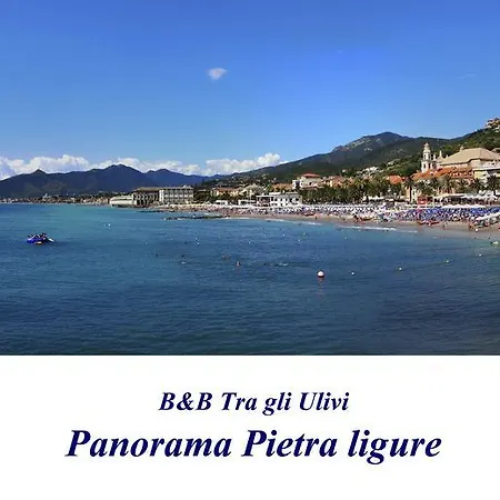 Tra Gli Ulivi *