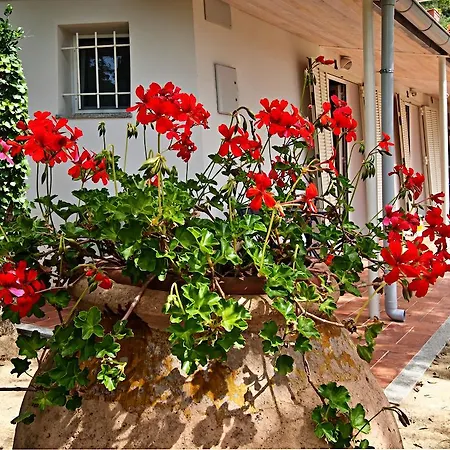 Couette-café Tra Gli Ulivi Pietra Ligure