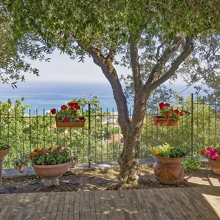 Tra Gli Ulivi Couette-café Pietra Ligure