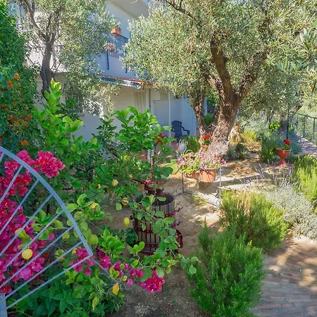 Tra Gli Ulivi Bed & Breakfast