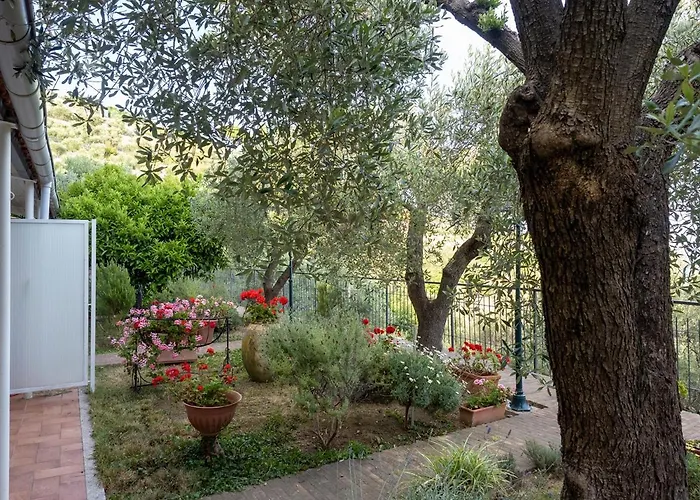 Tra Gli Ulivi Bed & Breakfast Pietra Ligure