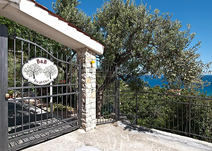 Tra Gli Ulivi Bed & Breakfast