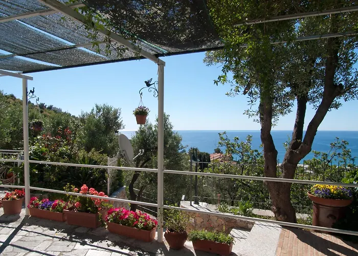 Tra Gli Ulivi Bed & Breakfast