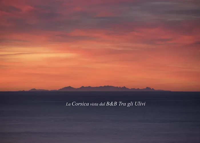 Tra Gli Ulivi 3* Pietra Ligure