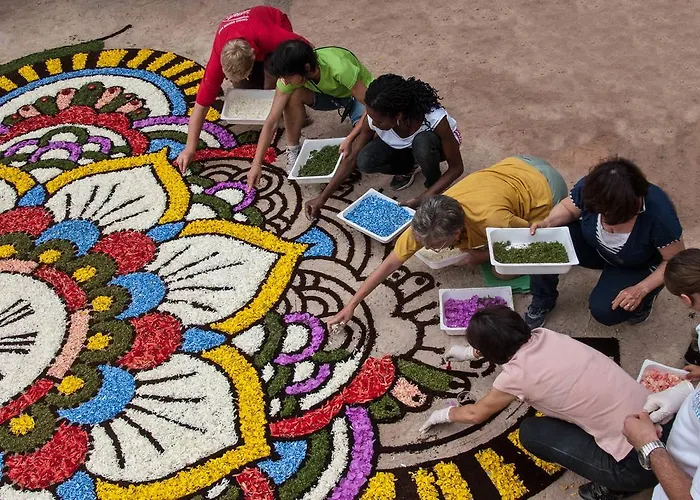 Bed & Breakfast Tra Gli Ulivi 3*