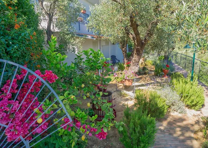 Tra Gli Ulivi Bed & Breakfast